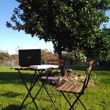 Séjour à la campagne El Llagar - Sagasta Rural *