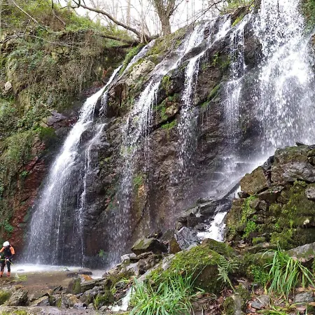 Gospodarstwo wiejskie El Llagar - Sagasta Rural