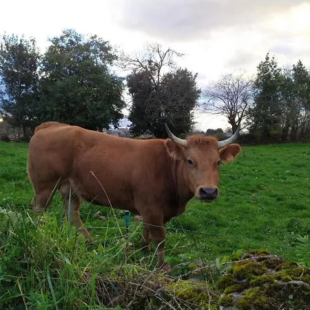 El Llagar - Sagasta Rural Oviedo
