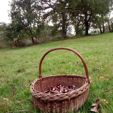 El Llagar - Sagasta Rural Country house Oviedo