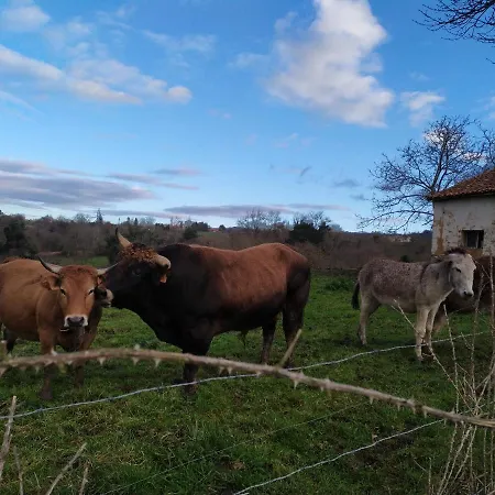 El Llagar - Sagasta Rural Casa di campagna Oviedo