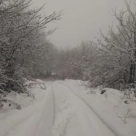 El Llagar - Sagasta Rural Country house *