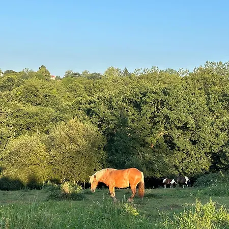 Casa di campagna El Llagar - Sagasta Rural Oviedo