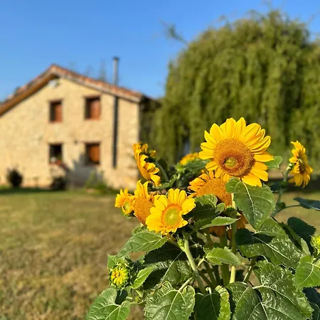 El Llagar - Sagasta Rural Casa di campagna